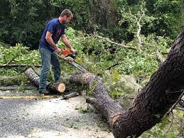 Best Lawn Maintenance Plans  in De Pere, WI