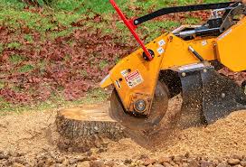 Best Utility Line Clearance  in De Pere, WI