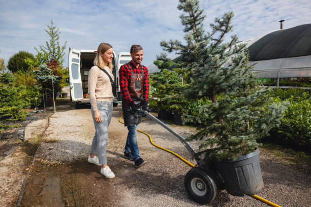Best Tree and Shrub Care  in De Pere, WI